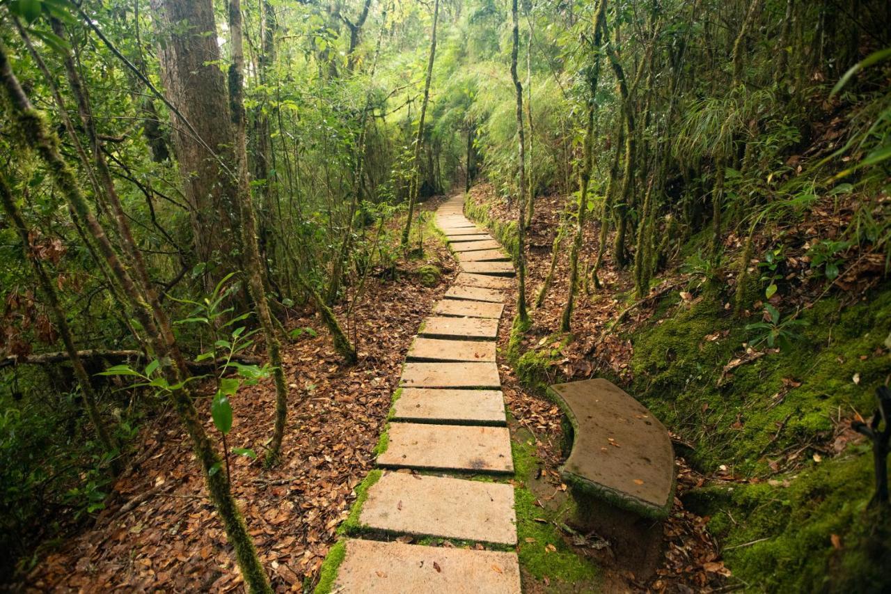 Dantica Cloud Forest Bed & Breakfast San Gerardo de Dota