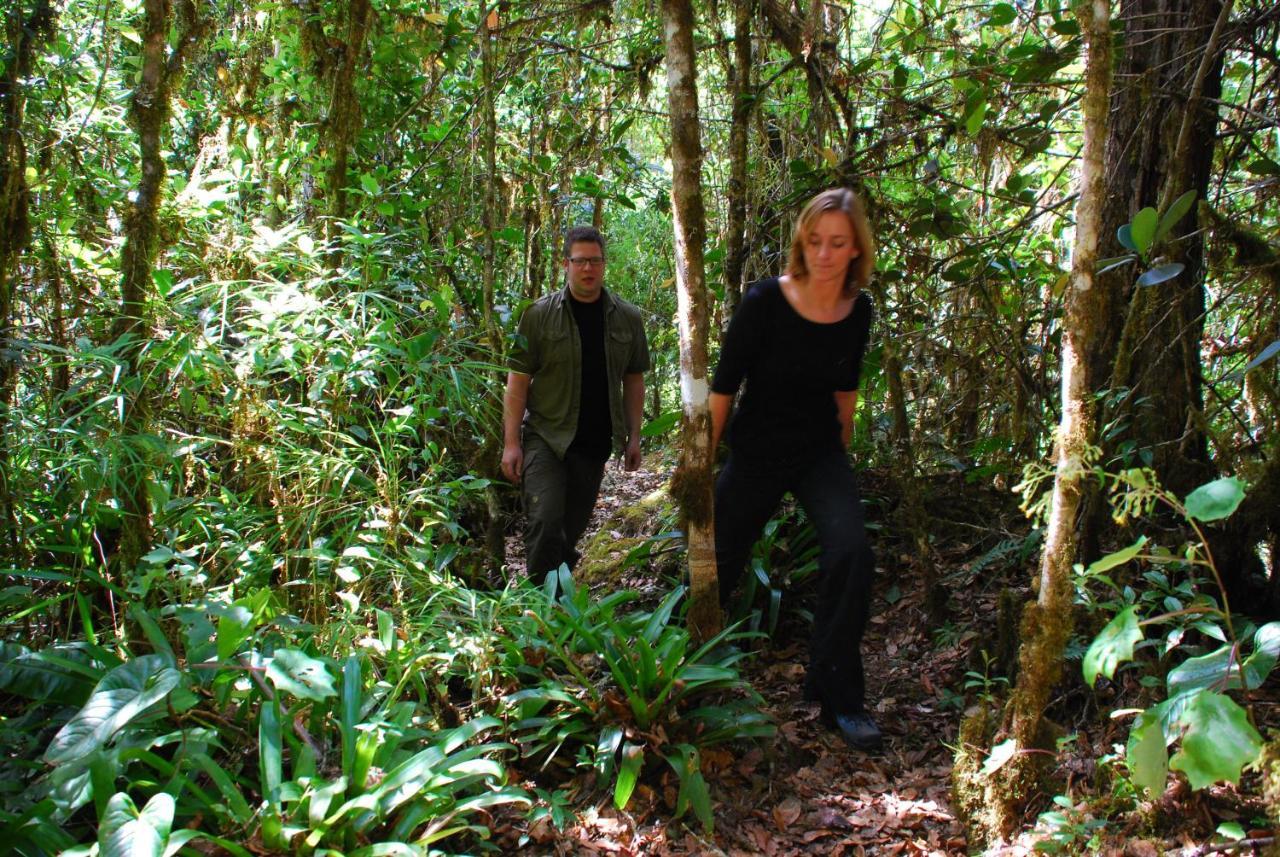 Dantica Cloud Forest Bed & Breakfast 4*