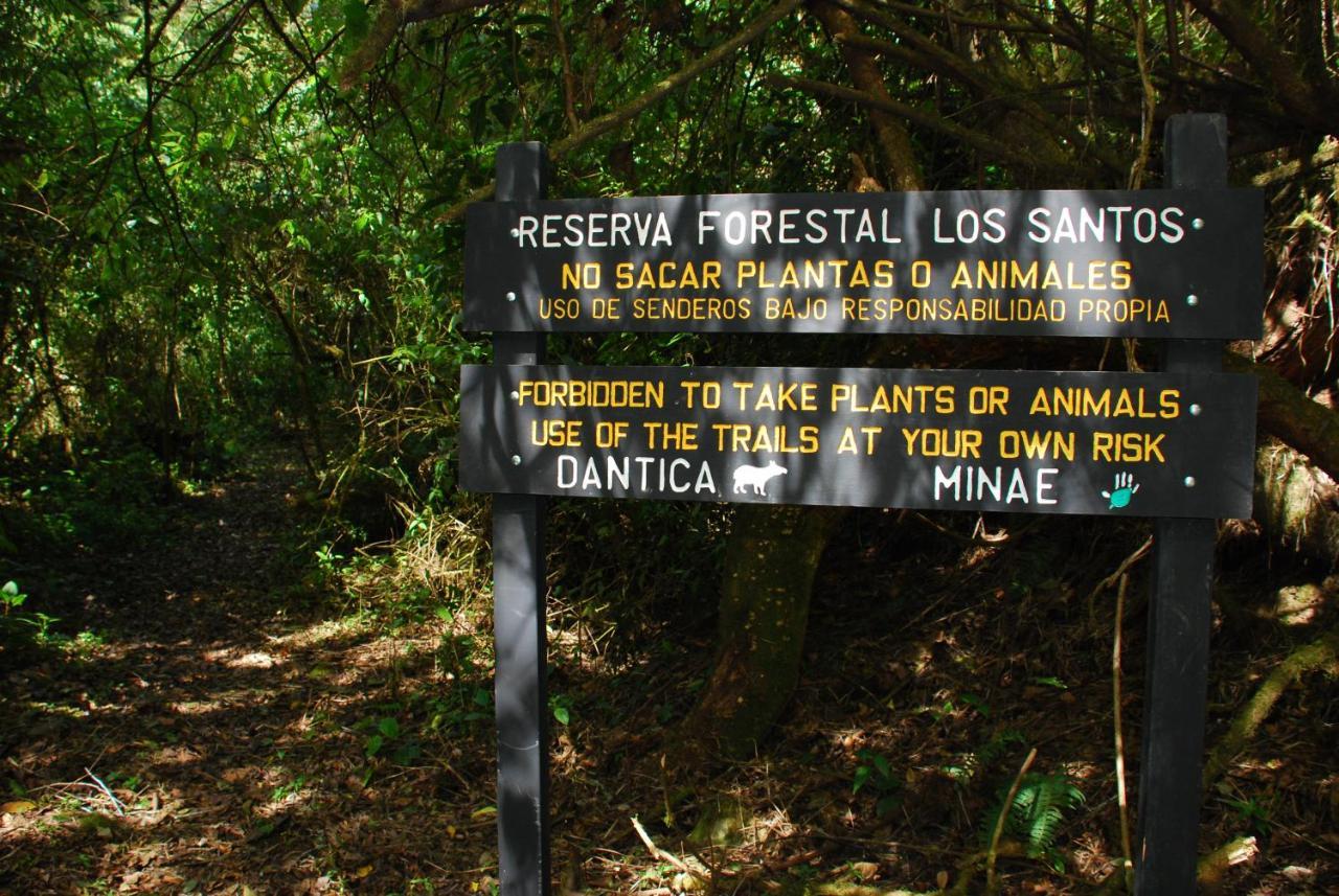 Dantica Cloud Forest 4*
