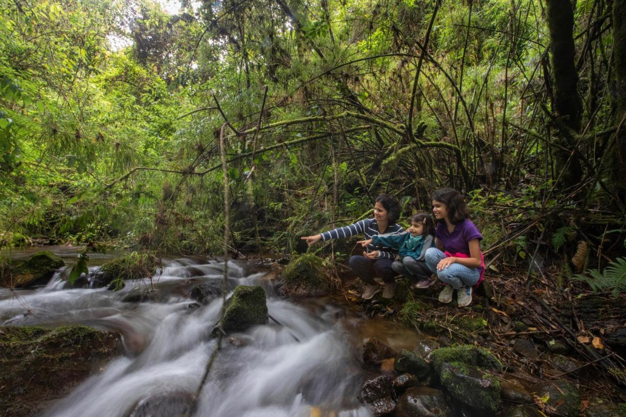 Dantica Cloud Forest Bed & Breakfast