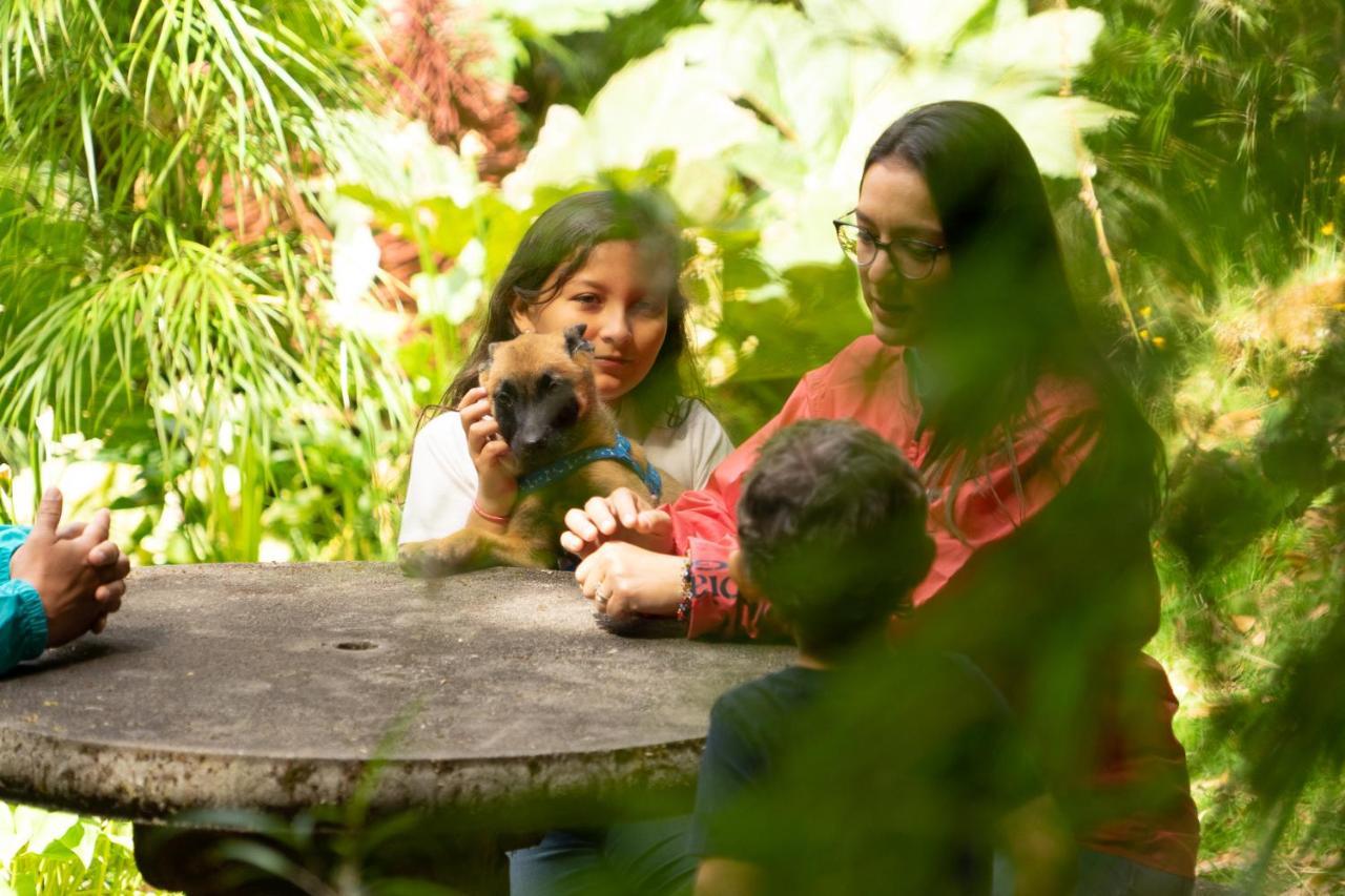 Bed & Breakfast Dantica Cloud Forest 4*