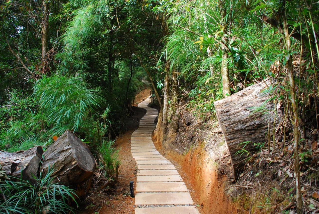 Bed & Breakfast Dantica Cloud Forest San Gerardo de Dota