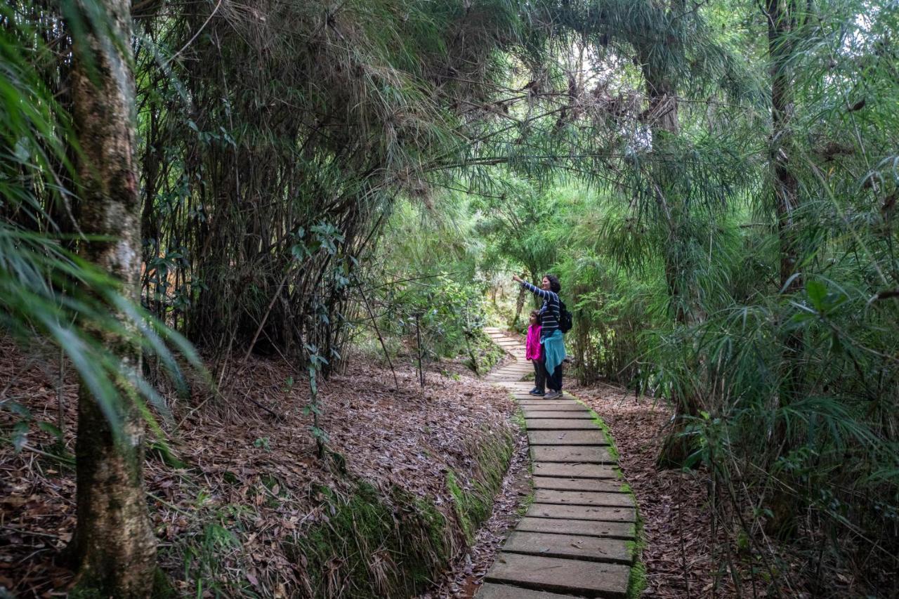 Dantica Cloud Forest Bed & Breakfast San Gerardo de Dota