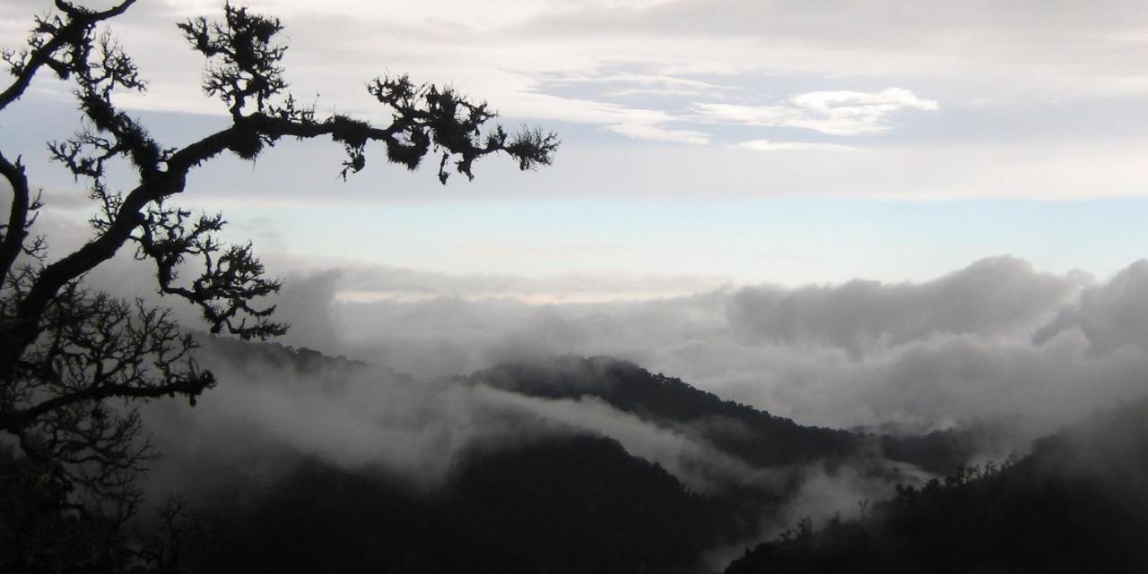 Dantica Cloud Forest 4*