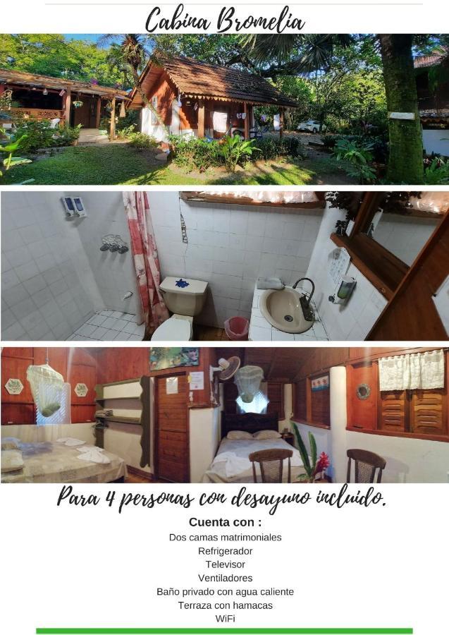 Cabinas Hibiscus Holiday home