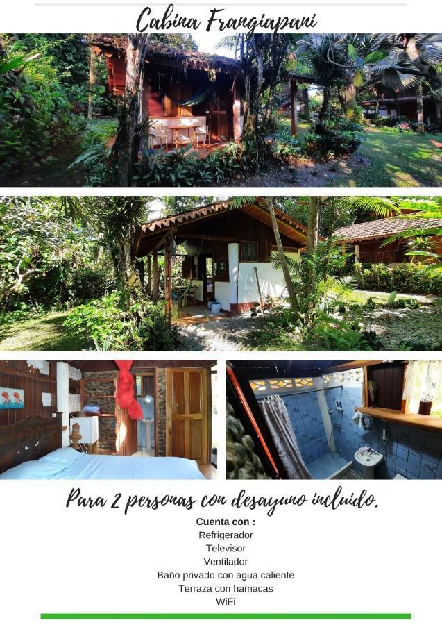 Cabinas Hibiscus Holiday home
