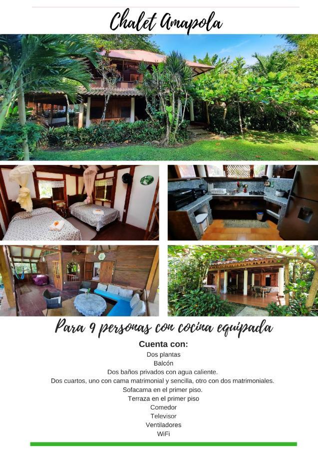 Cabinas Hibiscus Holiday home *