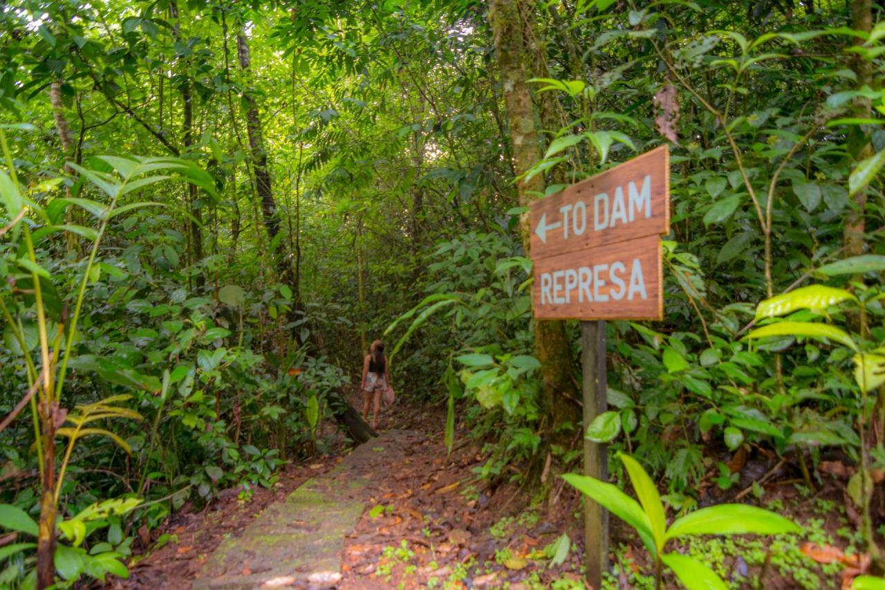 Avita Quesada (Alajuela)