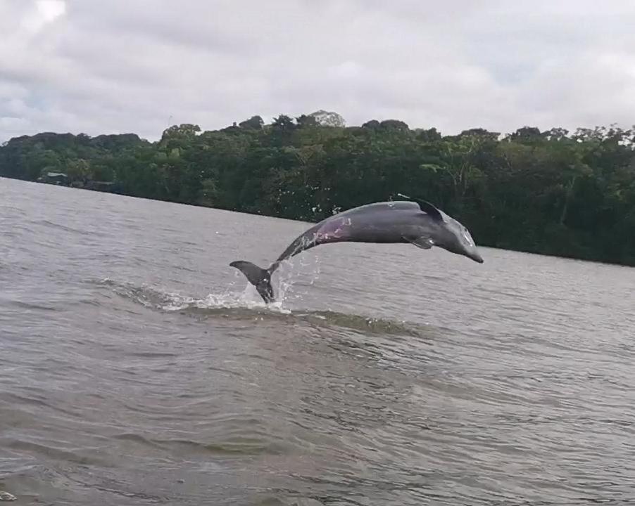 Caribbean View * Tortuguero