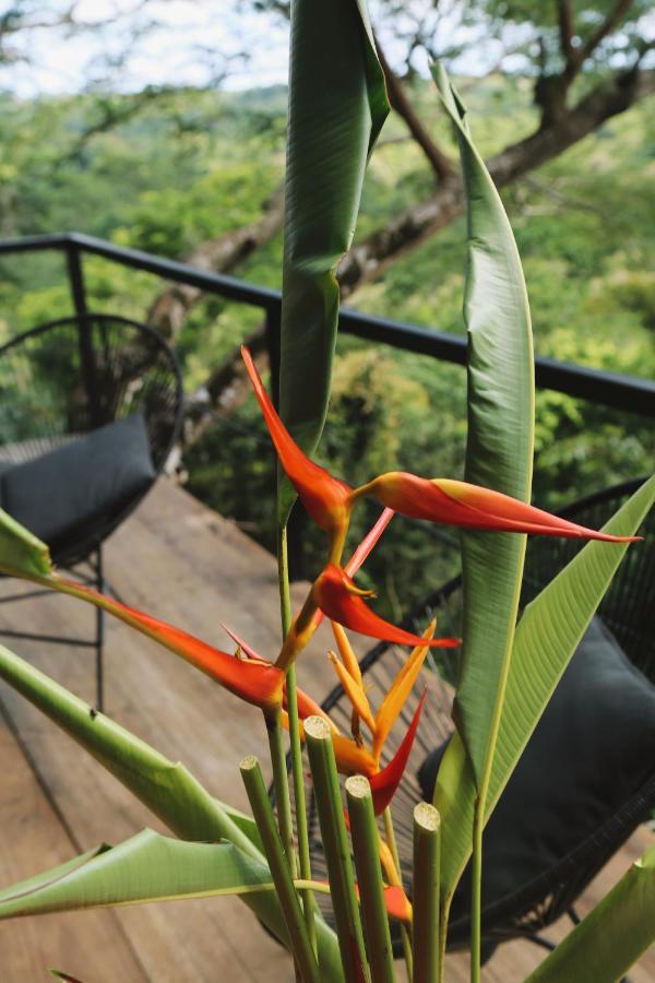 Kaya Bloom Ecolodge & Glamping Manzanillo (Puntarenas)