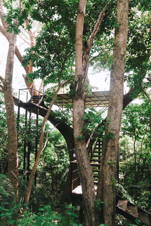Kaya Bloom Ecolodge & Glamping 4* Manzanillo (Puntarenas)