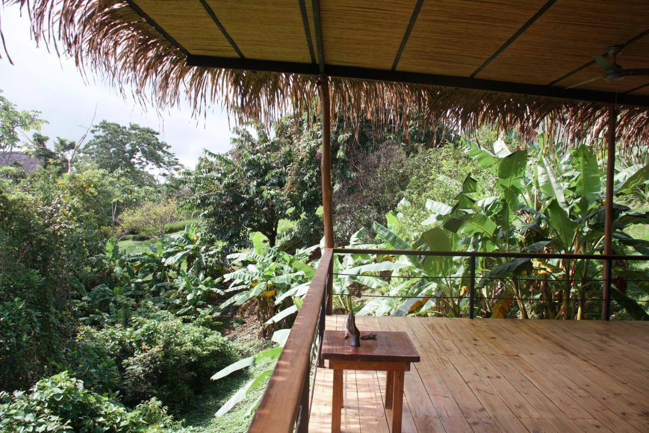 Kaya Bloom Ecolodge & Glamping 4* Manzanillo (Puntarenas)