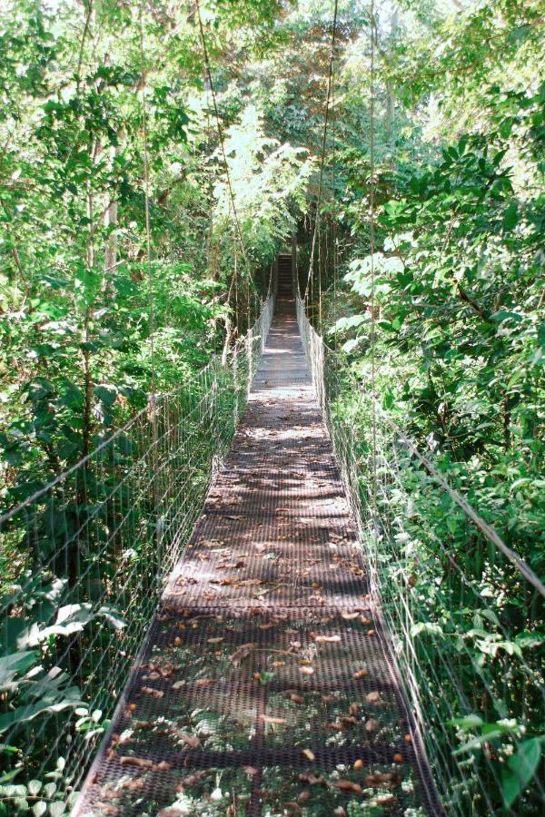 Resort Kaya Bloom Ecolodge & Glamping 4*