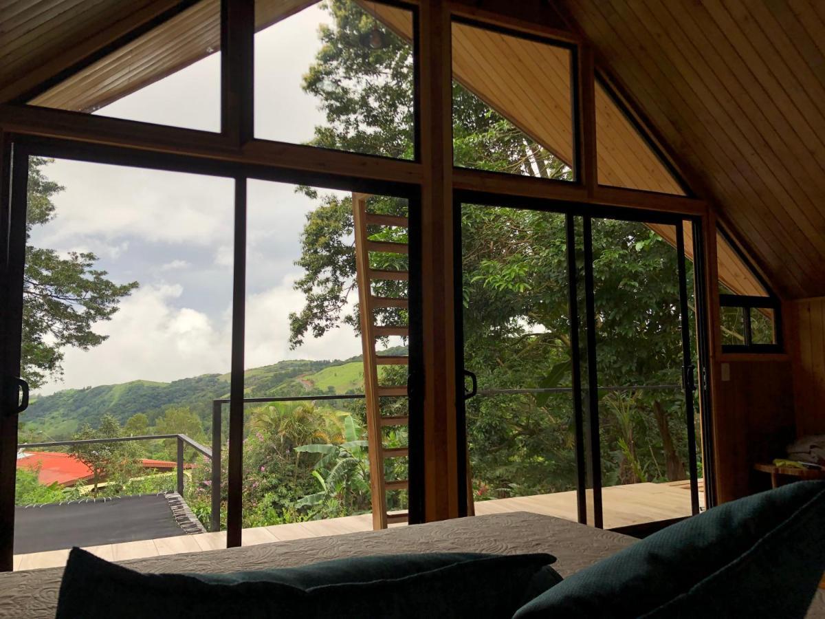 Tityra * Monteverde