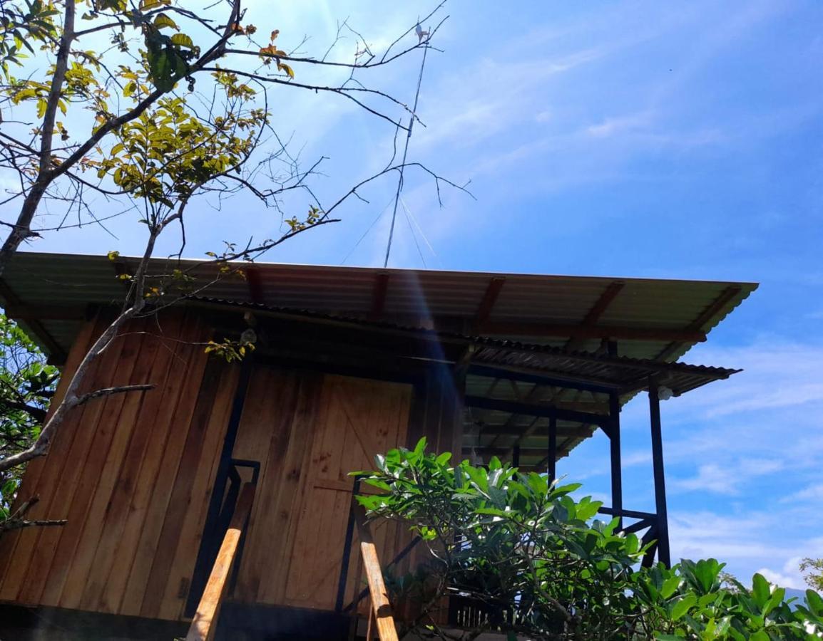 Lodge Onca Tours & Treehouses Katira