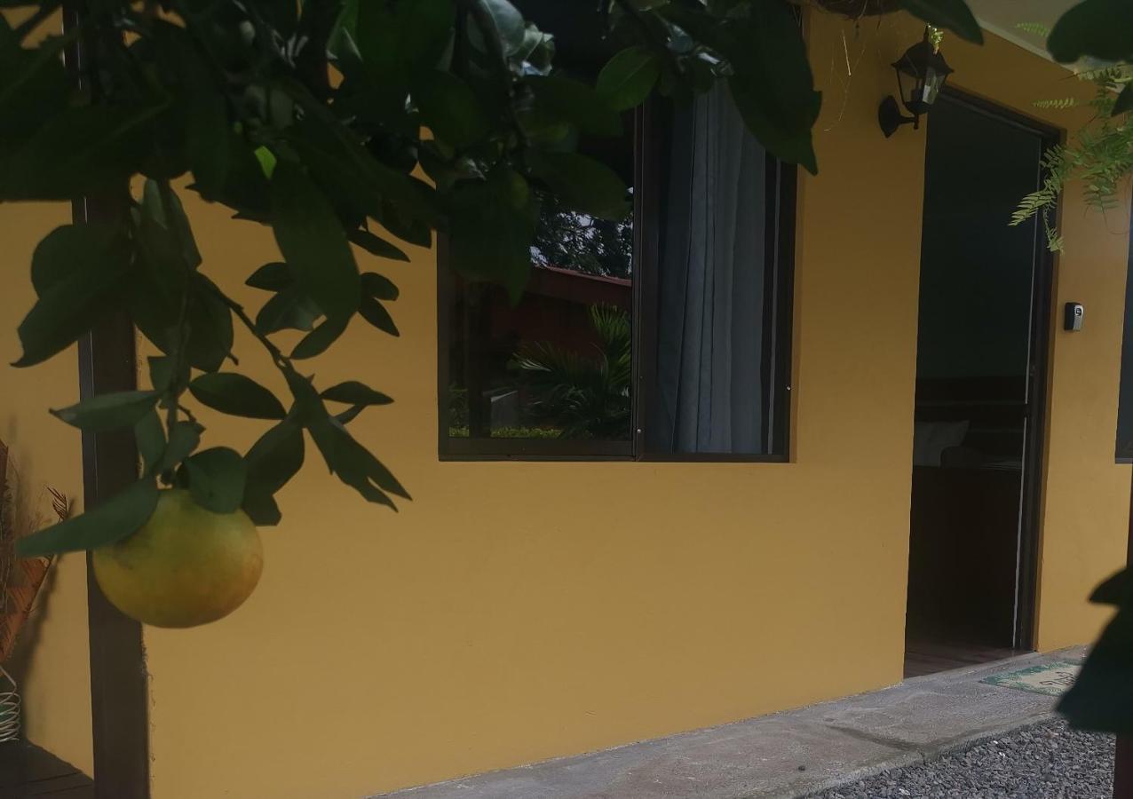 Dreamcatcher House Apartment Sarchi