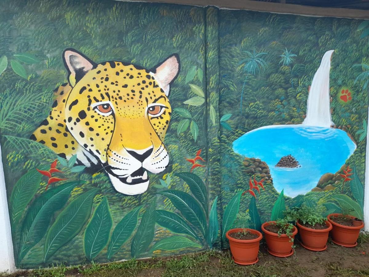Onca Tours & Treehouses Lodge *