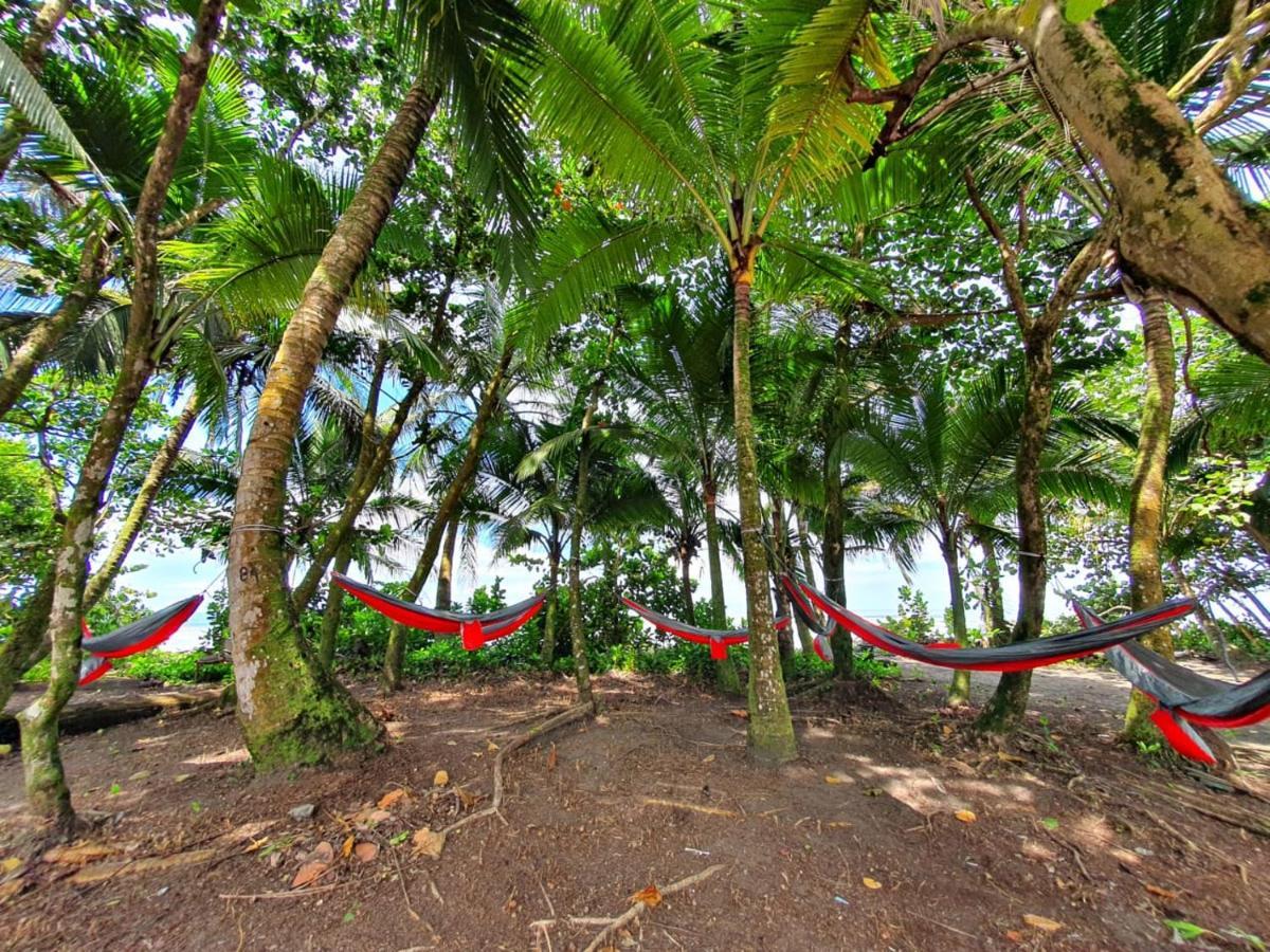 Guest house Caribbean View House