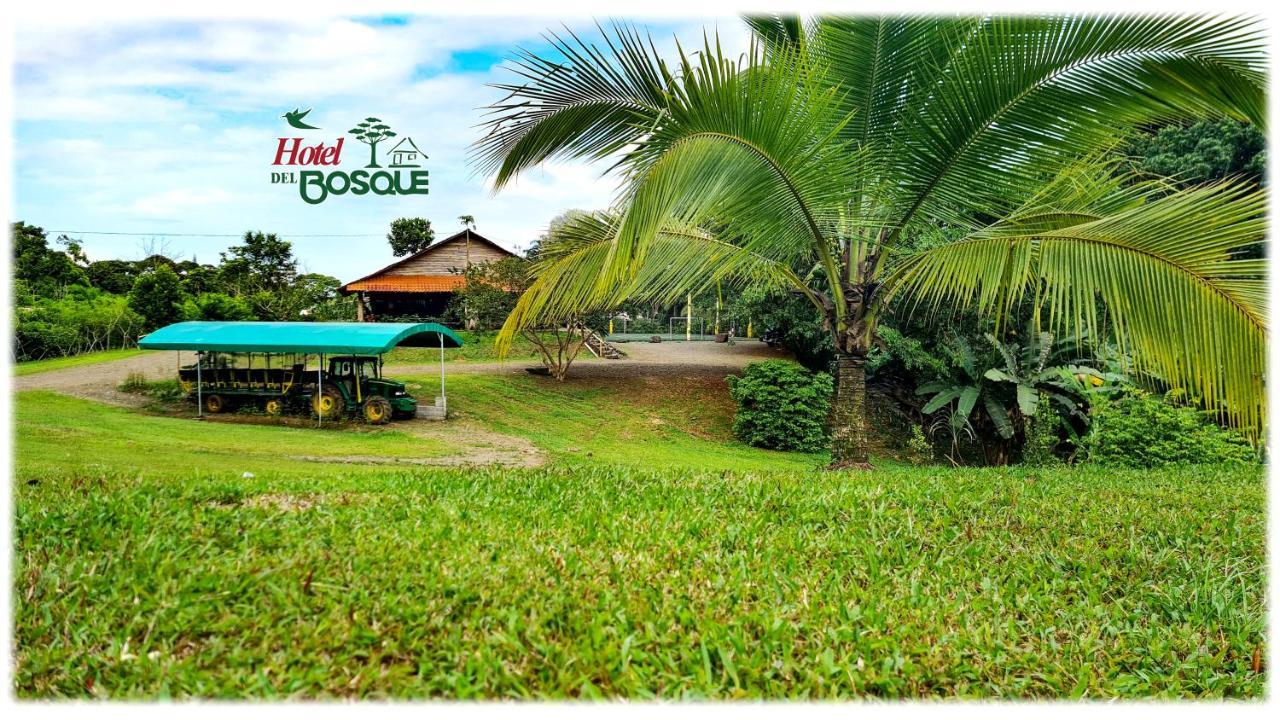 Hotel Del Bosque 2*