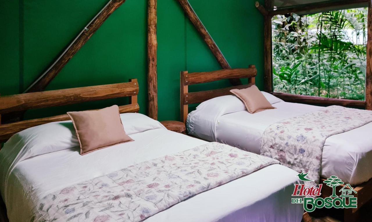 Del Bosque Hotel