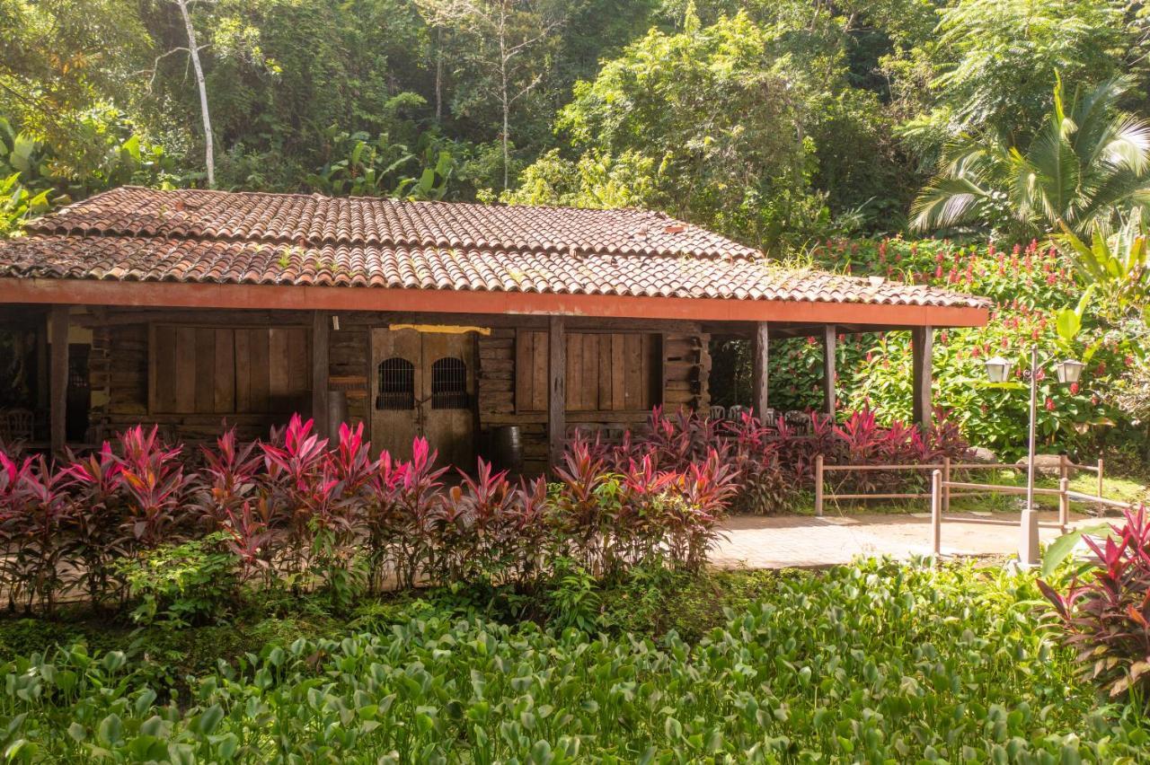 Lapas Jungle Village Resort Tarcoles
