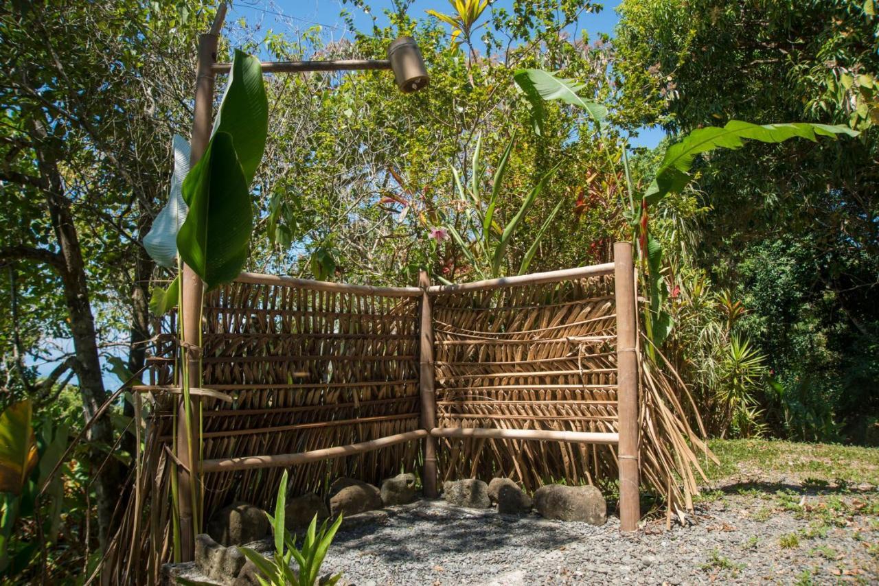 Hotel Tiskita Jungle 3*