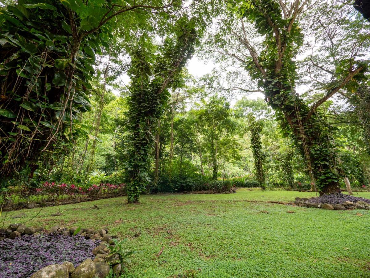 Lapas Jungle Village Resort