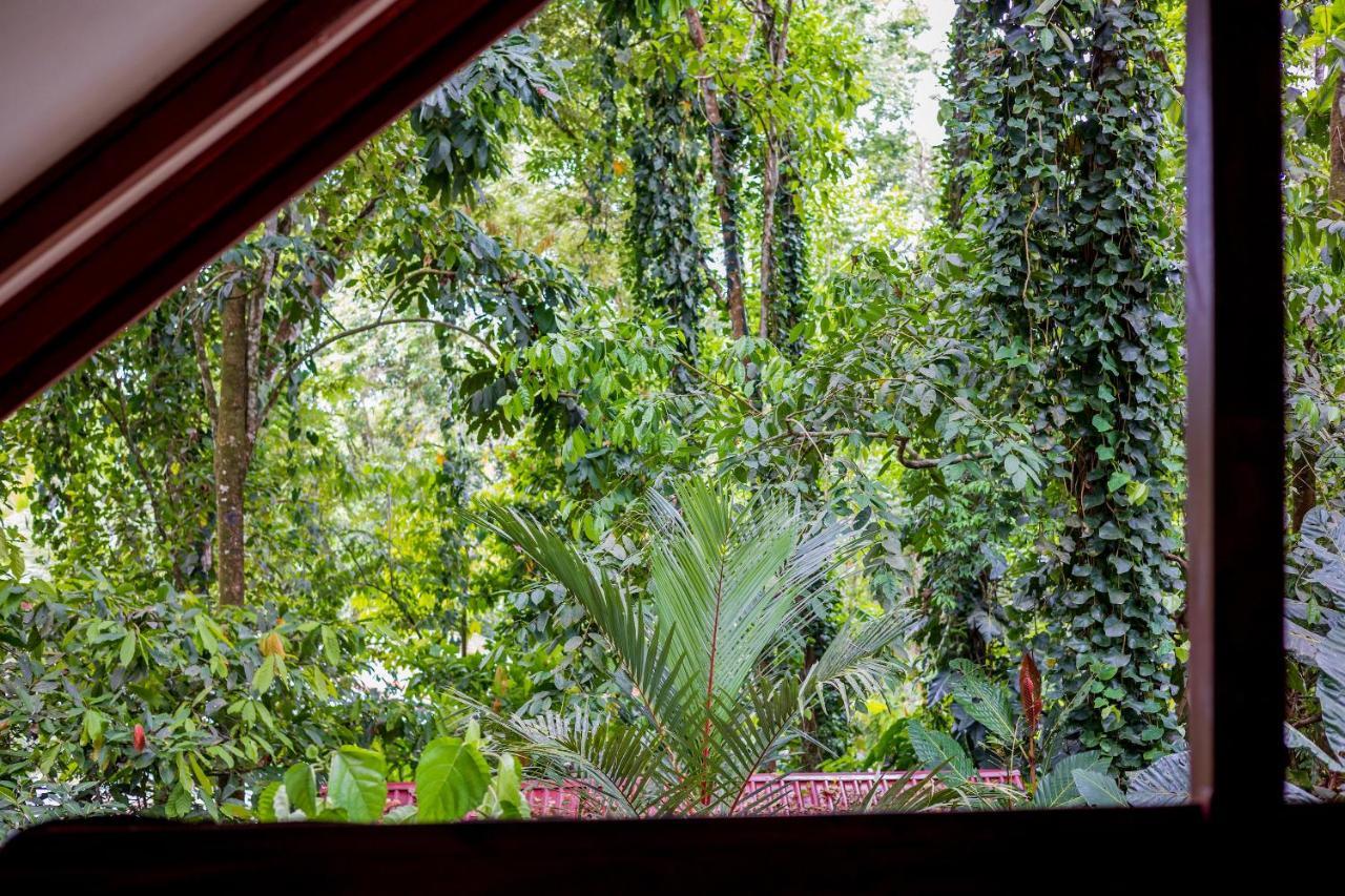 Namuwoki 3* Puerto Viejo de Talamanca