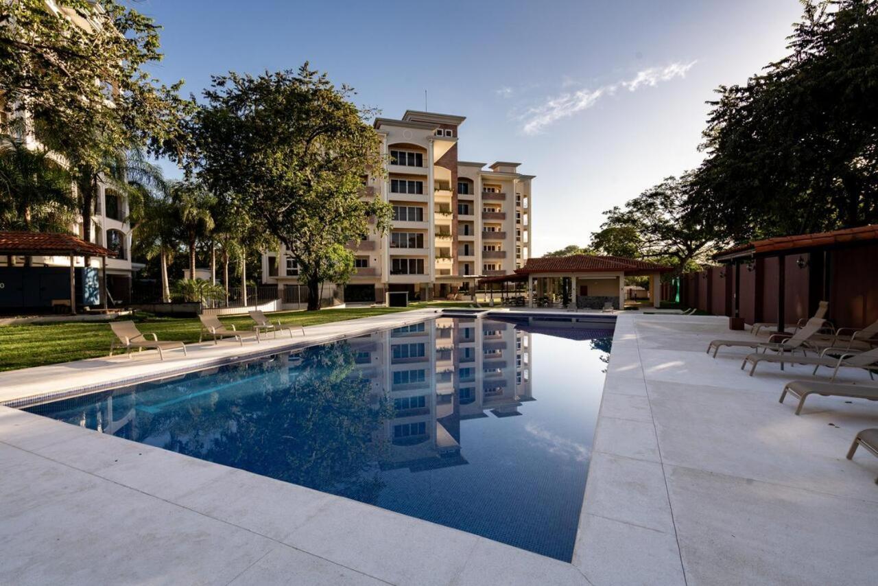 Apartment Brandnew Luxury 2bdr Condo✰stunning View✰fast Wifi *