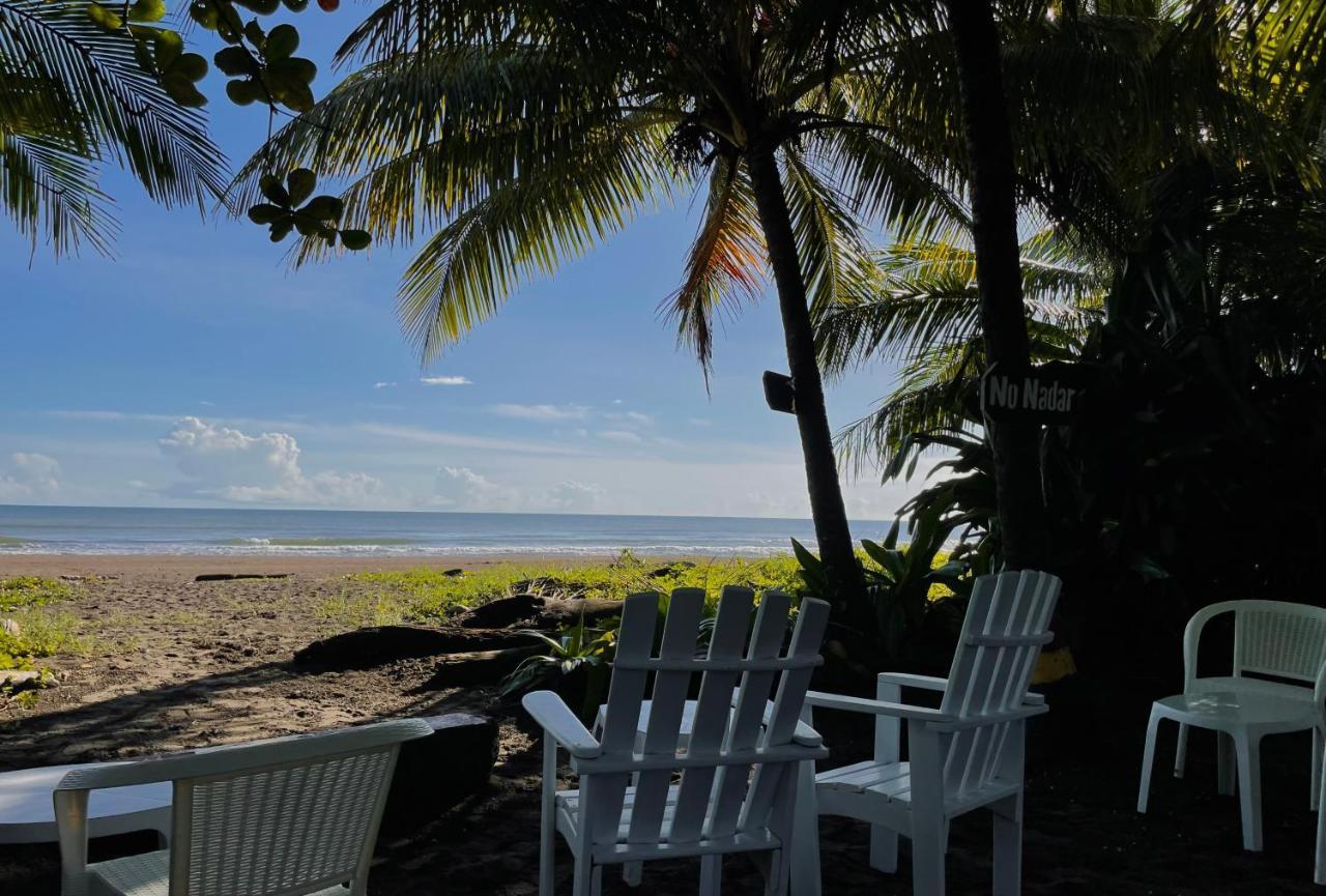 El Icaco Tortuguero