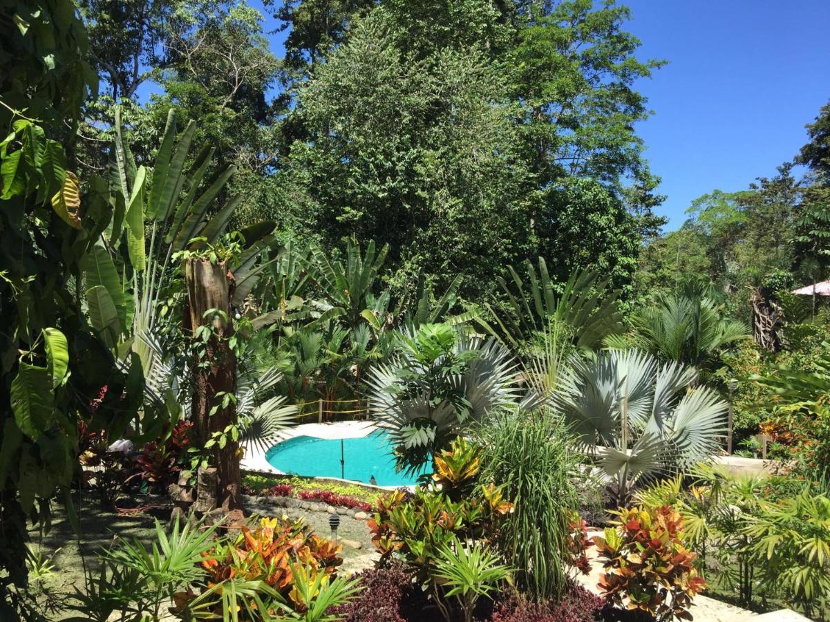 Villa Palomas *