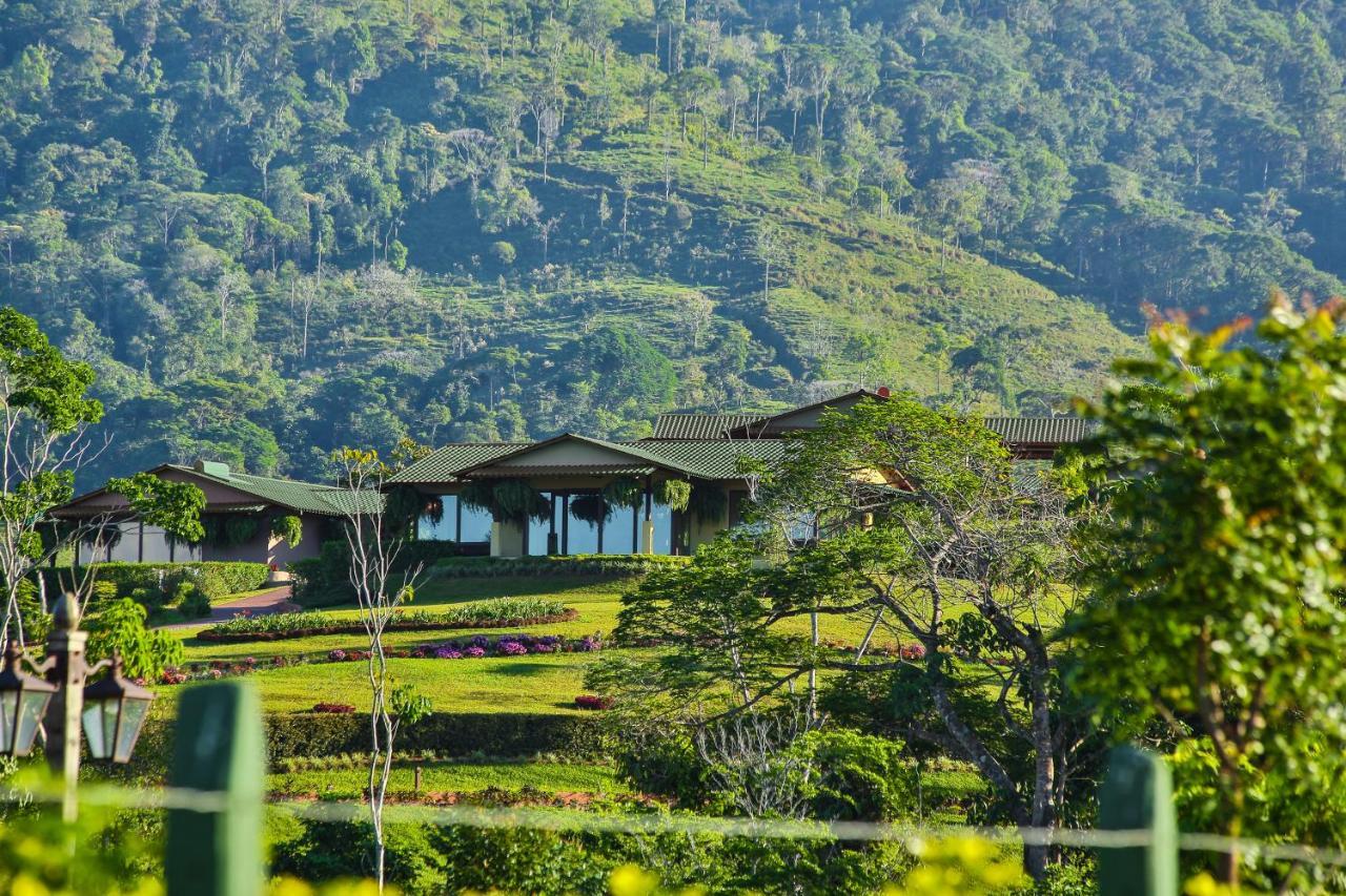 Hacienda Altagracia, Collection Resort