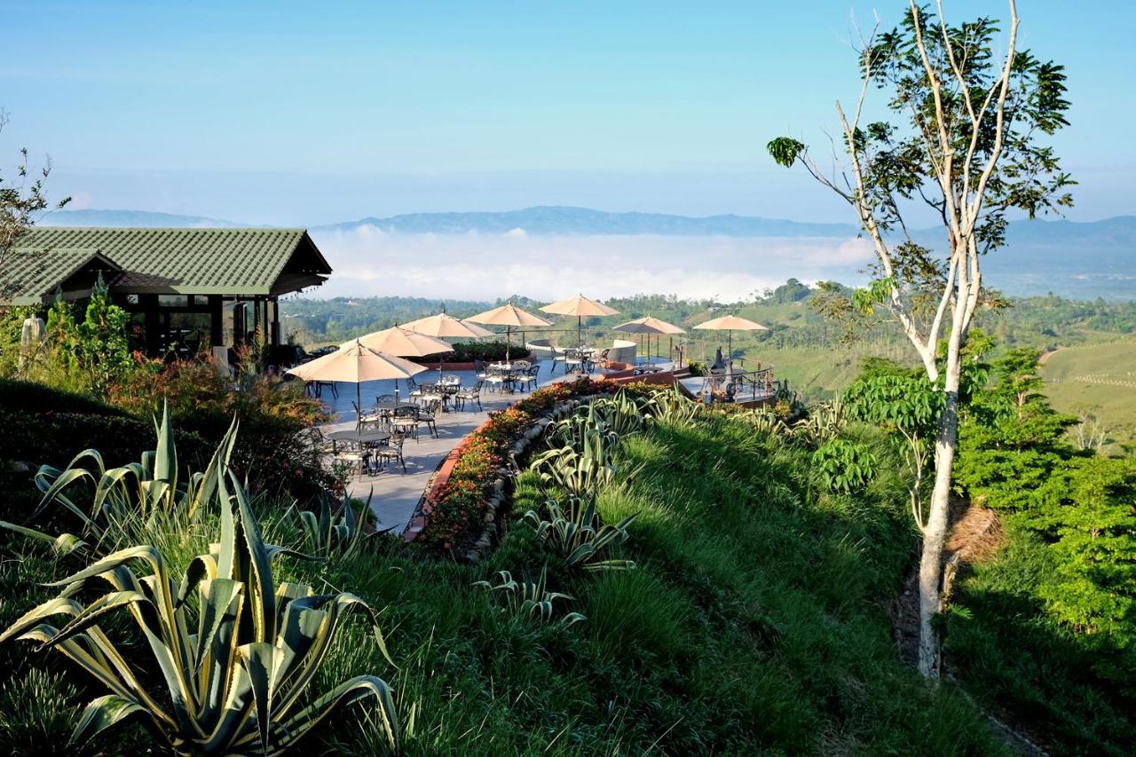 Resort Hacienda Altagracia, Collection 5*