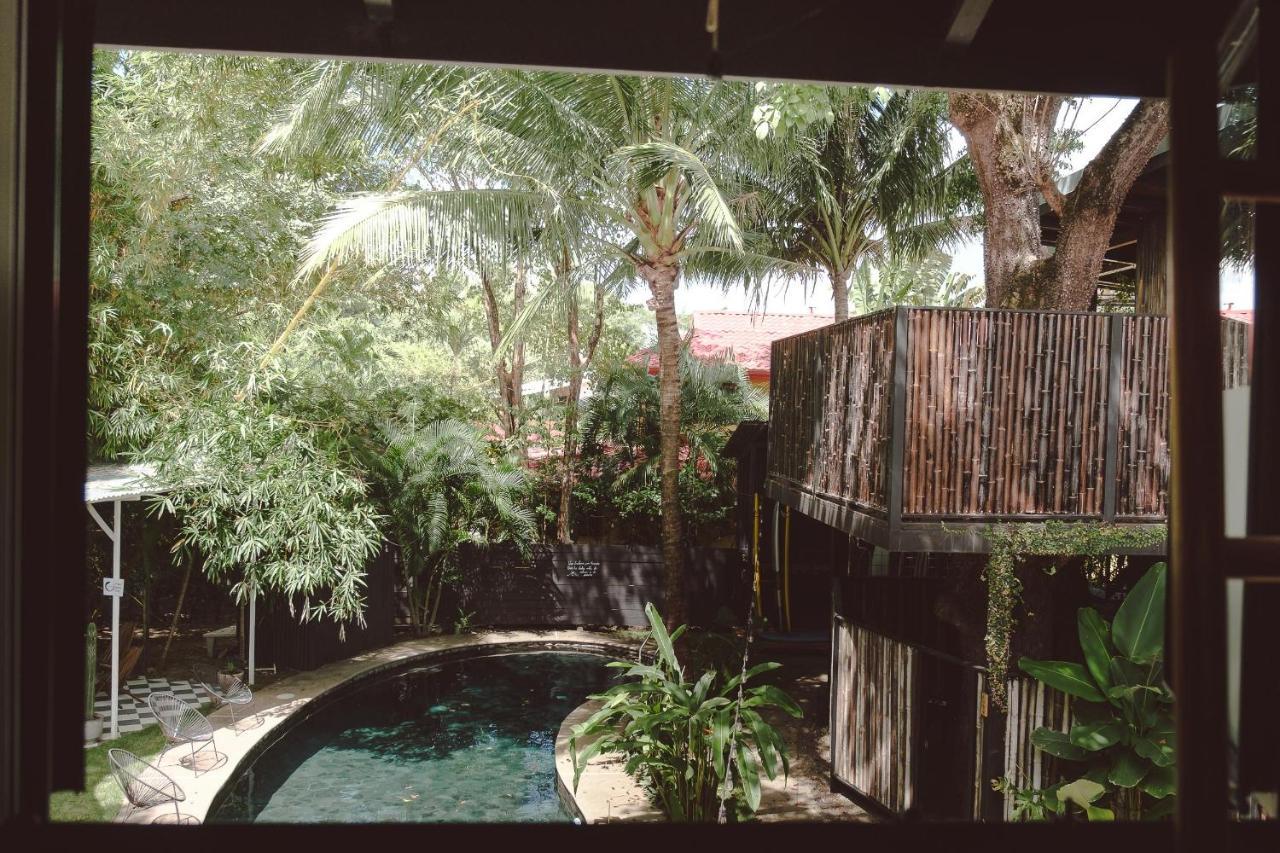 Hotel La Negra Surf
