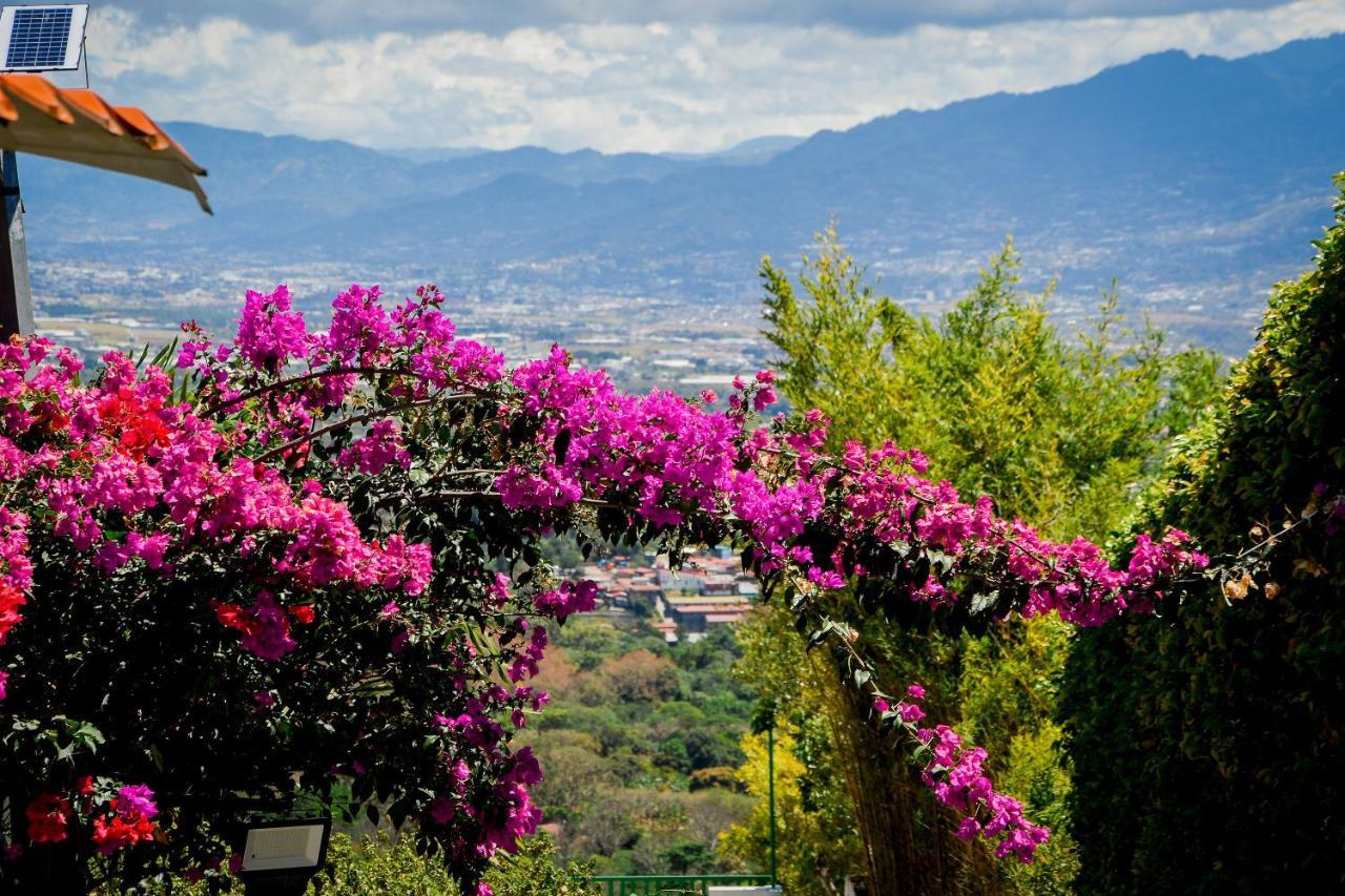 Loma Tranquila