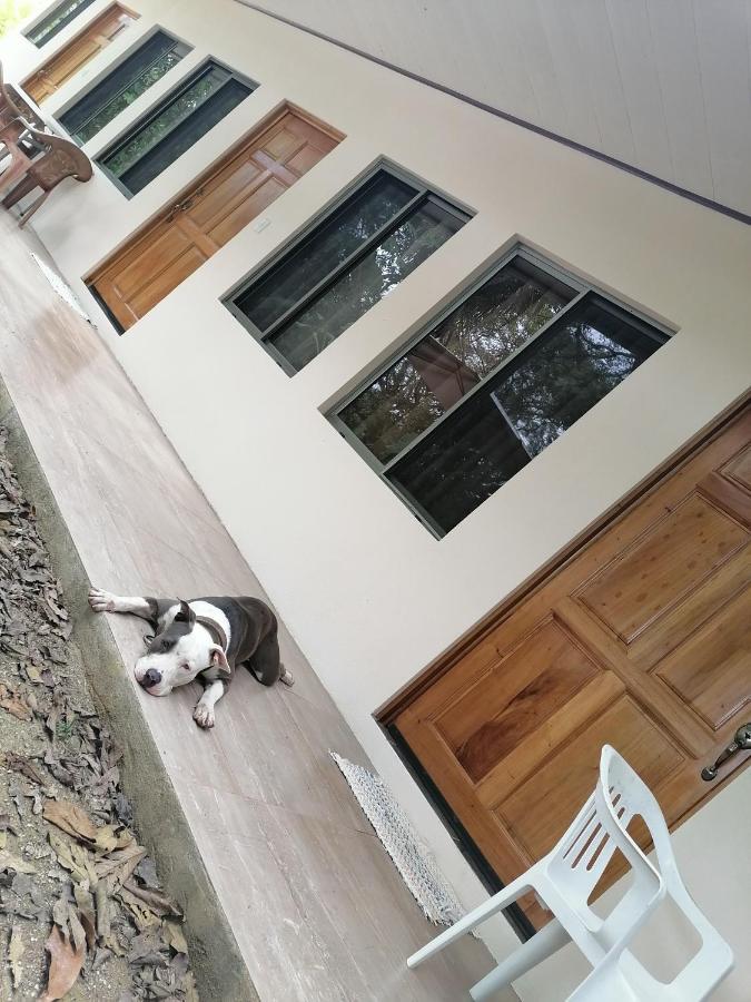 Guest house Casa Taupe *
