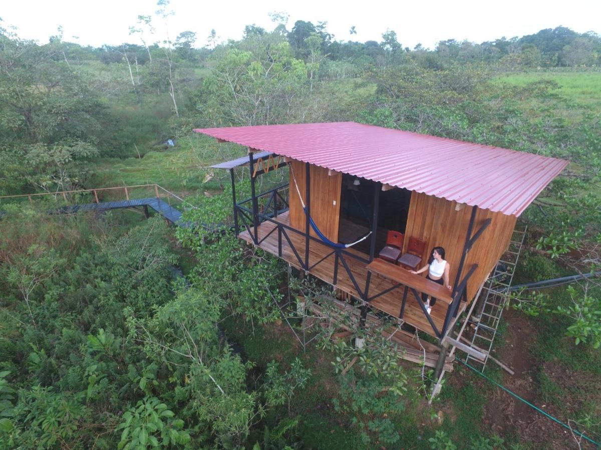 Onca Tours & Treehouses Lodge