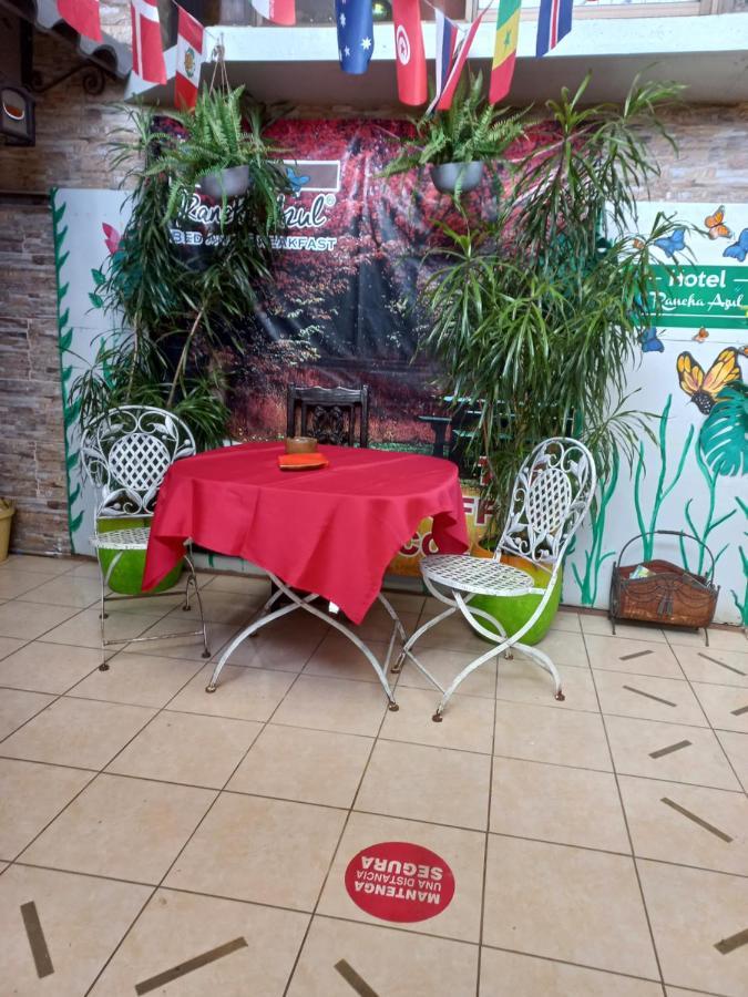 Bed & Breakfast Rancha Azul