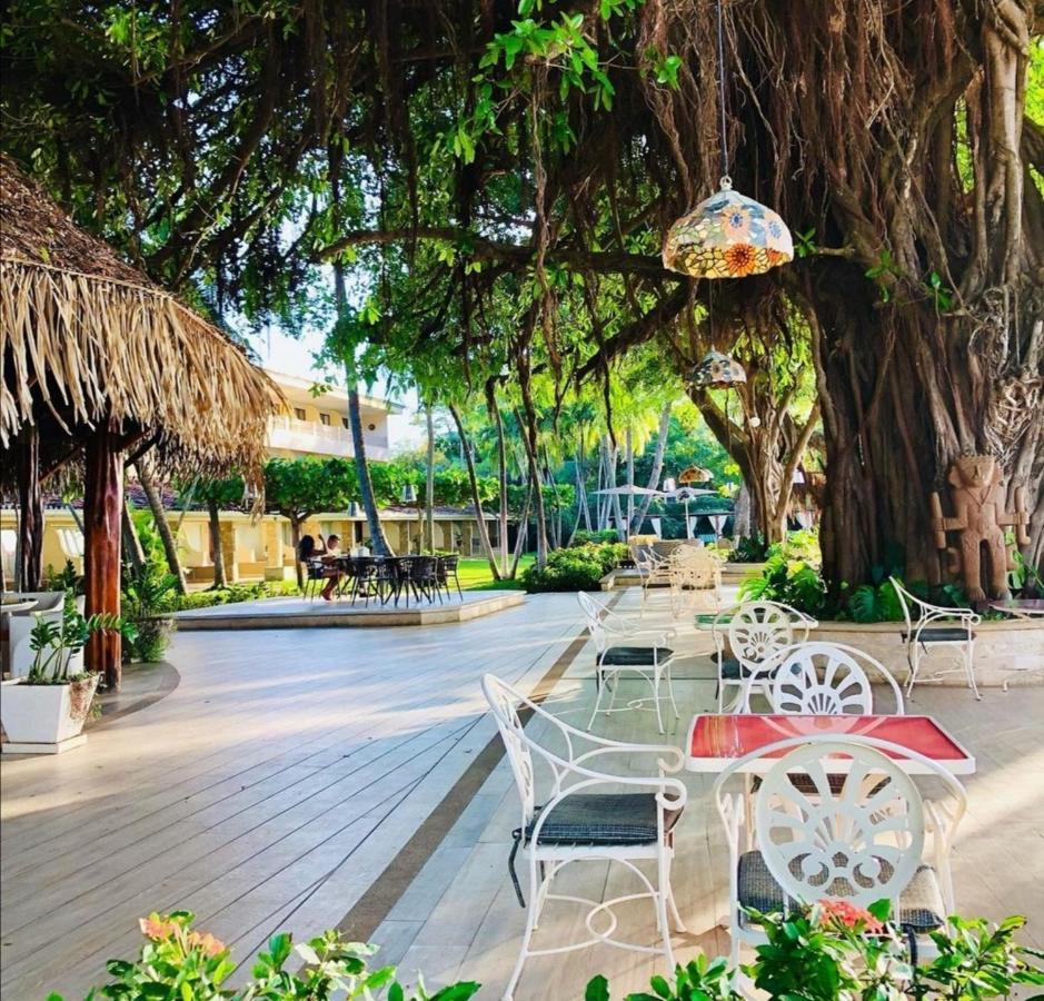 206 Matapalo Tamarindo