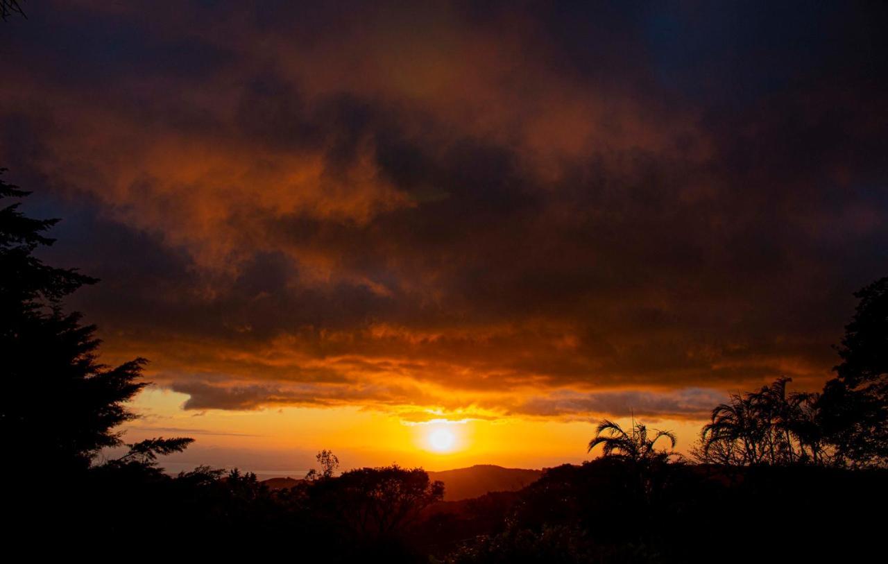 Sunset Monteverde