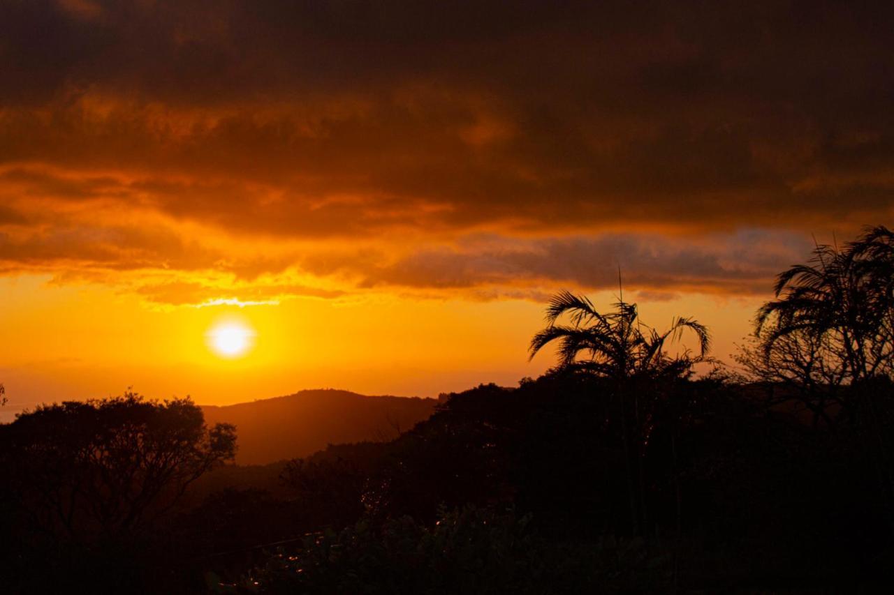 Sunset Aparthotel Monteverde
