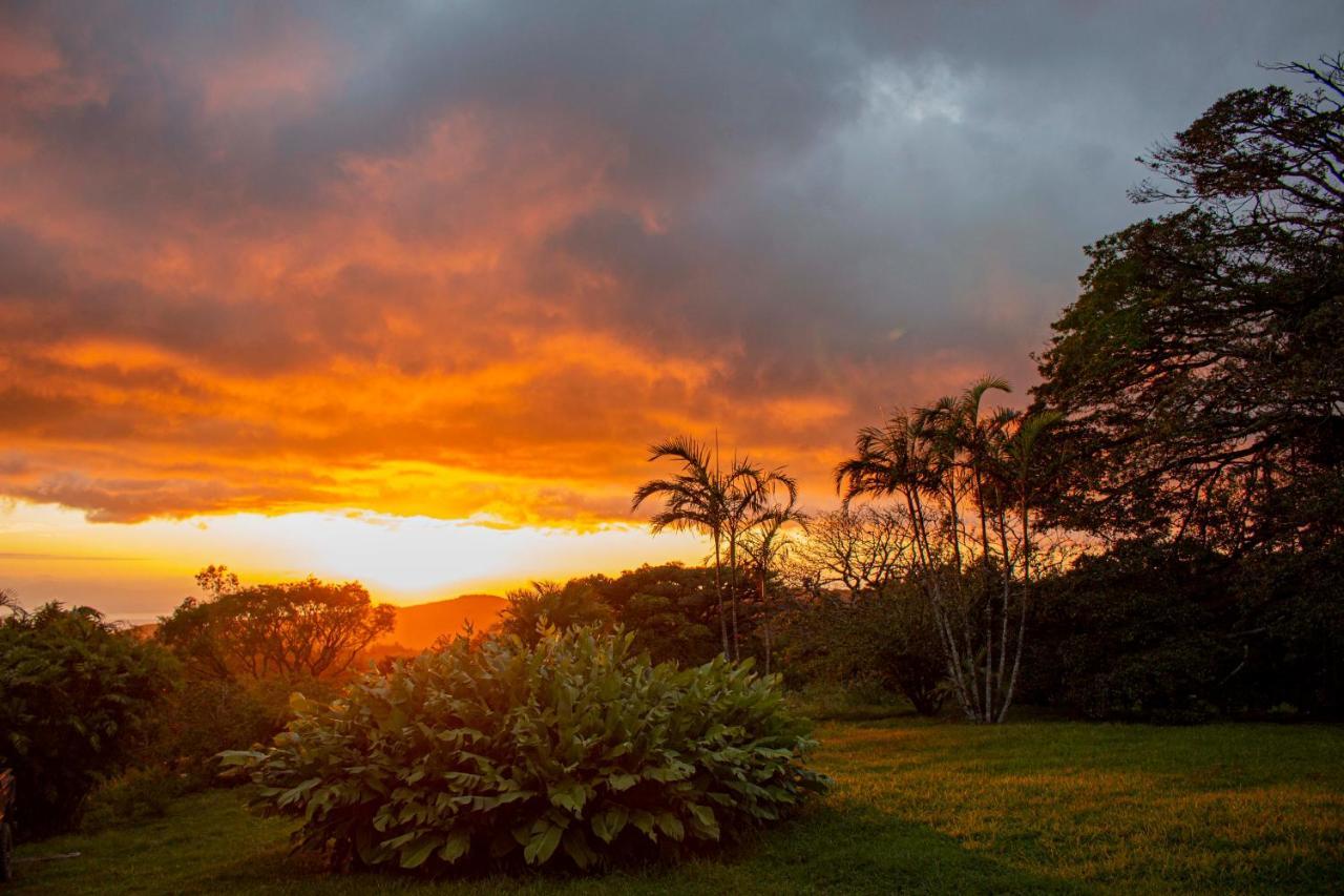 Aparthotel Sunset