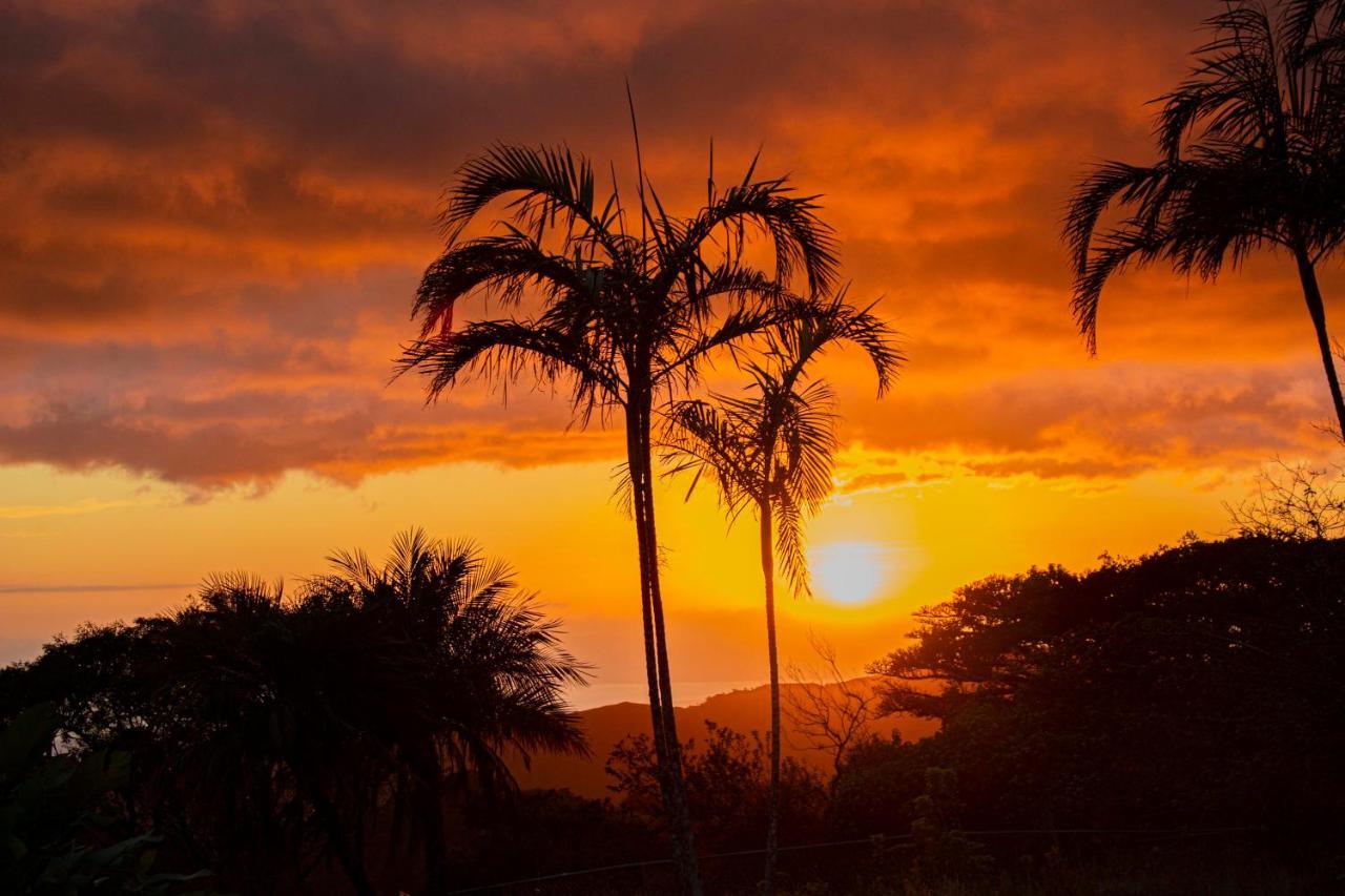 Aparthotel Sunset Monteverde