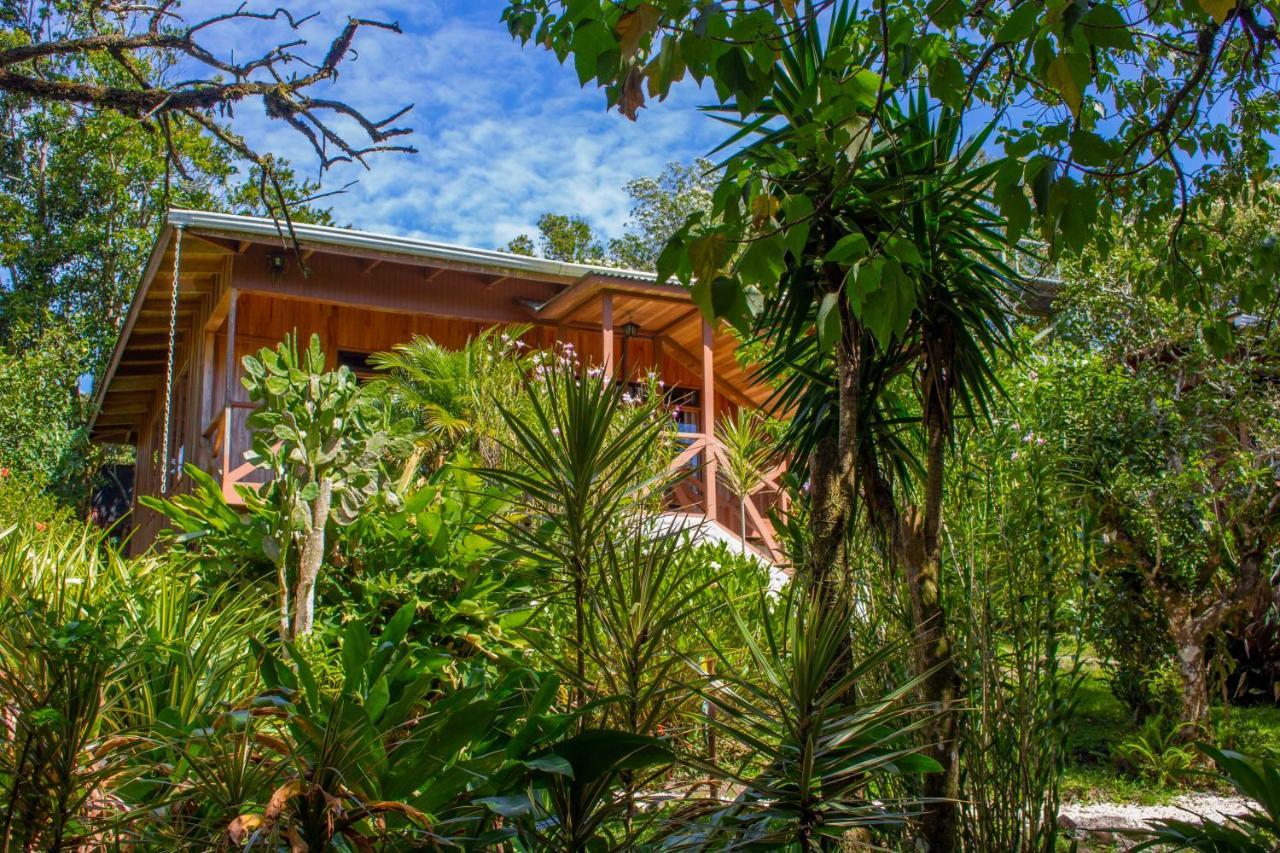 Holistico Hotel Monteverde