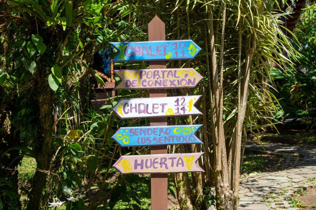 Holistico 3* Monteverde