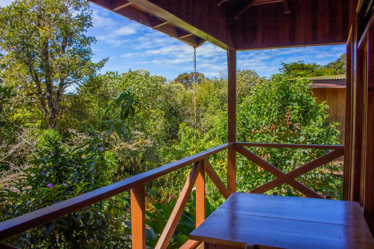 Hotel Holistico 3*