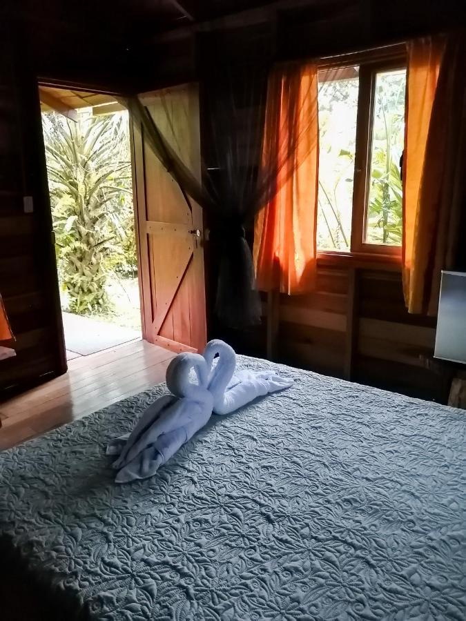 Holiday park Cataratas Lodge, Incluye Tour Autoguiado Waterfalls Hike 2*