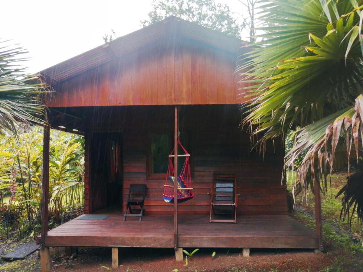 Holiday park Cataratas Lodge, Incluye Tour Autoguiado Waterfalls Hike