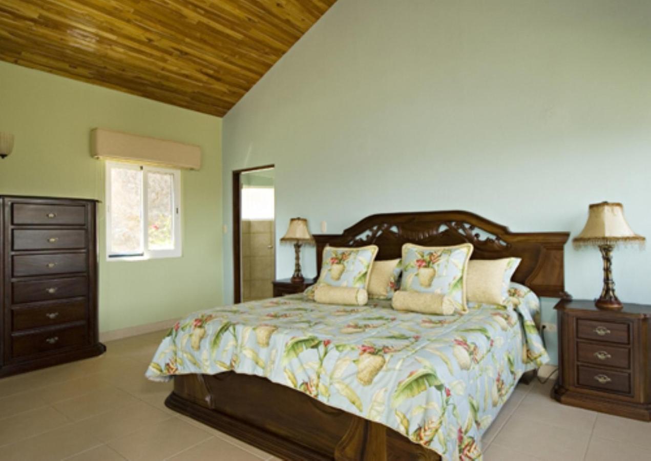 Playa Potrero, 3br Ocean View House Casa Thu With Infinity Pool & Jacuzzi Potrero (Guanacaste)