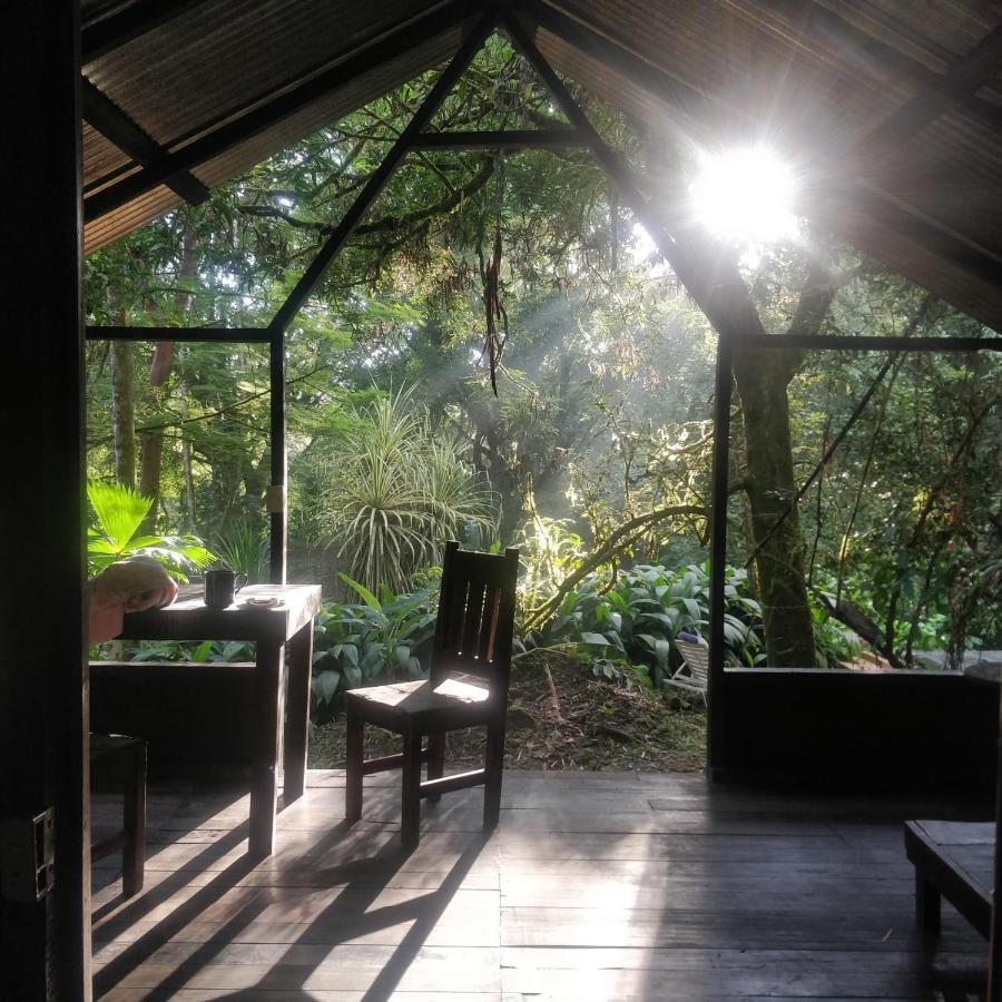 Guest house Mineros *